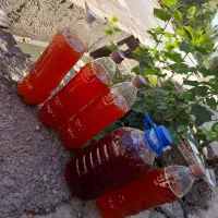 آبغوره