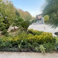 اجاره باغ ویلا گویم|اجارهٔ کوتاه‌مدت ویلا و باغ|شیراز, گویم|دیوار