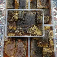 عسل کاملا طبیعی و ارگانیک