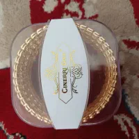 ۴ عدد الگنو رنگ ثابت خارجی اب طلا