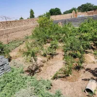 فروش باغچه نقلی