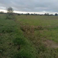 زمین کشاورزی|فروش دفتر صنعتی، کشاورزی، تجاری|خمام, |دیوار