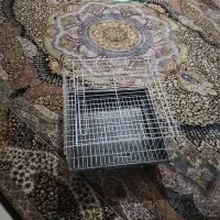 قفس|لوازم جانبی حیوانات|نیشابور, هفده شهریور|دیوار