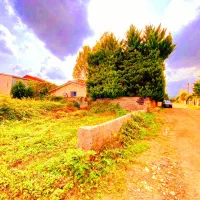 ۳۱۴متری الان بساز/سندششدانگ/جاده دریانور|فروش زمین و ملک کلنگی|رویان, |دیوار