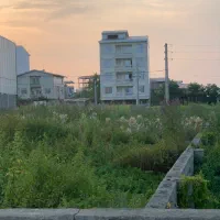 فروش زمین مسکونی ۱۰۰۰ متری باسندتک برگ درحوضه شهر|فروش زمین و ملک کلنگی|اسالم, |دیوار