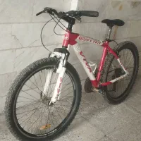 دوچرخه ویوا ساز ۲۶