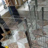 تعدادی لوازم پوشاک فروشی|فروشگاه و مغازه|مراغه, |دیوار