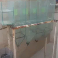 لوازم برای سالن ماهی