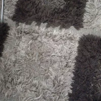 پادری