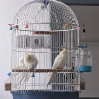 فروش فوری با قفس