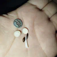 گوشواره مهره