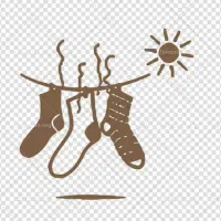 تولیدی جوراب میزبان