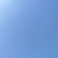 حسابدار خانم