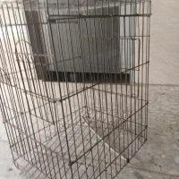 قفس