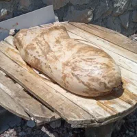 دوغ ترخینه|خوردنی و آشامیدنی|کرمانشاه, |دیوار