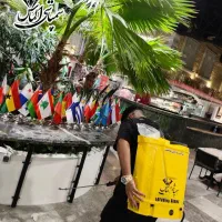 سمپاشی فوری و تخصصی با مجوز و ضمانت 100% ریشه کنی|خدمات نظافت|ری, علایین|دیوار