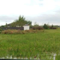 خانه ویلایی روستایی نزدیک باغ پرندگان|فروش خانه و ویلا|رشت, حومه رشت|دیوار