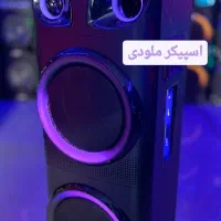 اسپیکر خانگی ملودی میکرولب