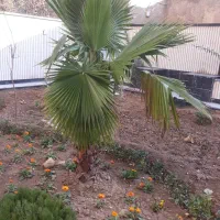 زمین-کارگاهی-متراژ-5000-متری-شهرکی