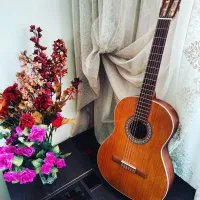 گیتار پارسی m5