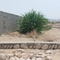فروش ۱۳۰۰ متر زمین در منطقه ی شهروسنتر|فروش زمین و ملک کلنگی|اصفهان, راه آهن|دیوار