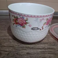 ظرف چینی