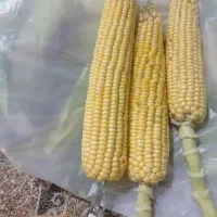 بلال