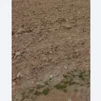 زمین روستا اسلام آباد مهریز کامل بخوانید