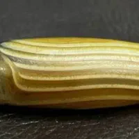 مهره اصلی قدیمی توضیحات