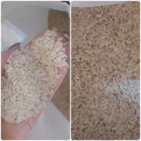 برنج چمپا ارگانیک