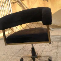 سرشور و صندلی حرفه ای|آرایشگاه و سالن‌های زیبایی|فردیس, فردیس|دیوار