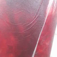 لواشک از سرولایت