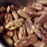 بژی تازه  پخت  روز