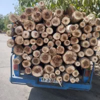 خریدانواع چوب