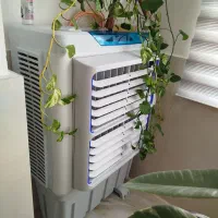 کلر آبی دوماه استفاده شده نصف قیمت خرید میفروشم