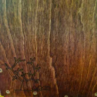 کاخن|درام و پرکاشن|کرج, کوی زنبق|دیوار