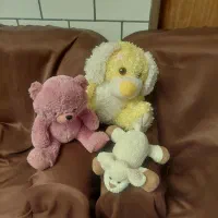 عروسک در حد نو|اسباببازی بچه|کیش, |دیوار