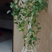 پایه فلزی گلدان