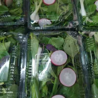 سبزی مخصوص فروشگاه ها و میوه فروشی ها