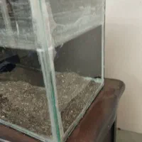 اکواریوم با لوازم|ماهی|تهران, افسریه شمالی|دیوار