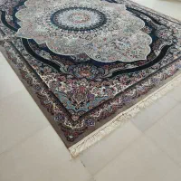 فرش ۱۲ متری فوق العاده|فرش|بندرعباس, |دیوار