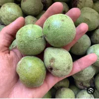 گردو تازه باپوست سبز