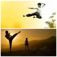 آکادمی استعدادیابی کونگ فو