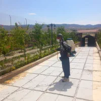 باغبانی سمپاشی|خدمات باغبانی و درختکاری|پردیس, فاز ۲|دیوار