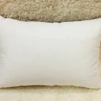 بالشت پر نو استفاده نشده