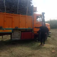 خرید انواع چوب