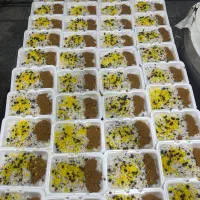 سفارش غذا نذری