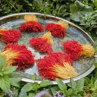 فروشگاه تخصصی زعفران اصل قاینات|خوردنی و آشامیدنی|مشهد, سجادیه|دیوار