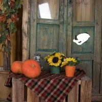 دکور آتلیه و عکاسی مناسب یلدا و عید نوروز