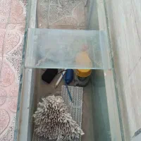آکواریوم ۱ متری شیشه ۱۰ میل